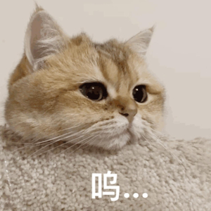 国产做爰❌❌❌高潮69
