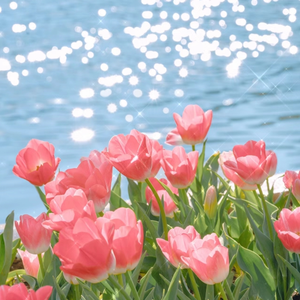 国产做爰❌❌❌高潮69
