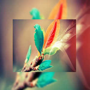 国产做爰❌❌❌高潮69
